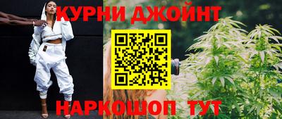 сатива Краснознаменск