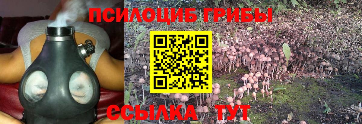 Черногорск  Галлюциногенные грибы ЛСД  что такое наркотик  Вход с VPN 